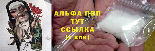 сатива Дмитриев