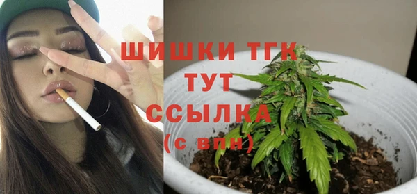 сатива Дмитриев