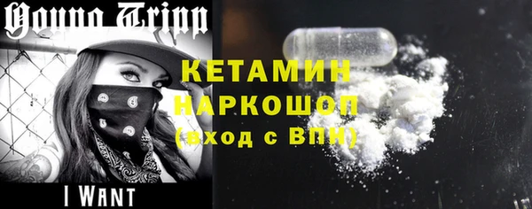 сатива Дмитриев