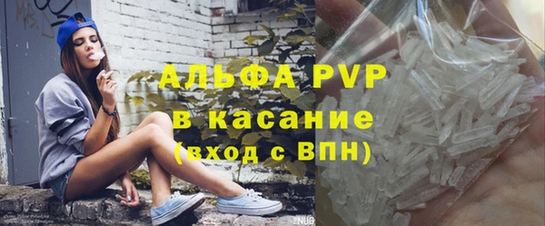 сатива Дмитриев