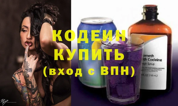 сатива Дмитриев