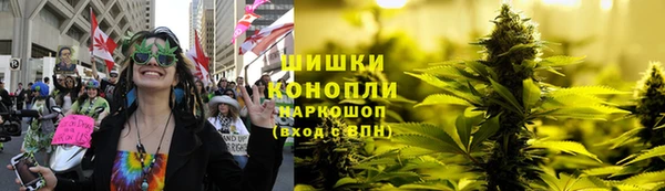 сатива Дмитриев