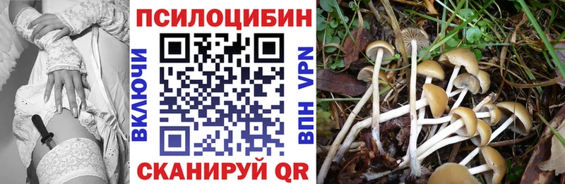 Купить где  Аркадак  Псилоцибиновые грибы мухоморы 